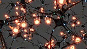 lit up neurons